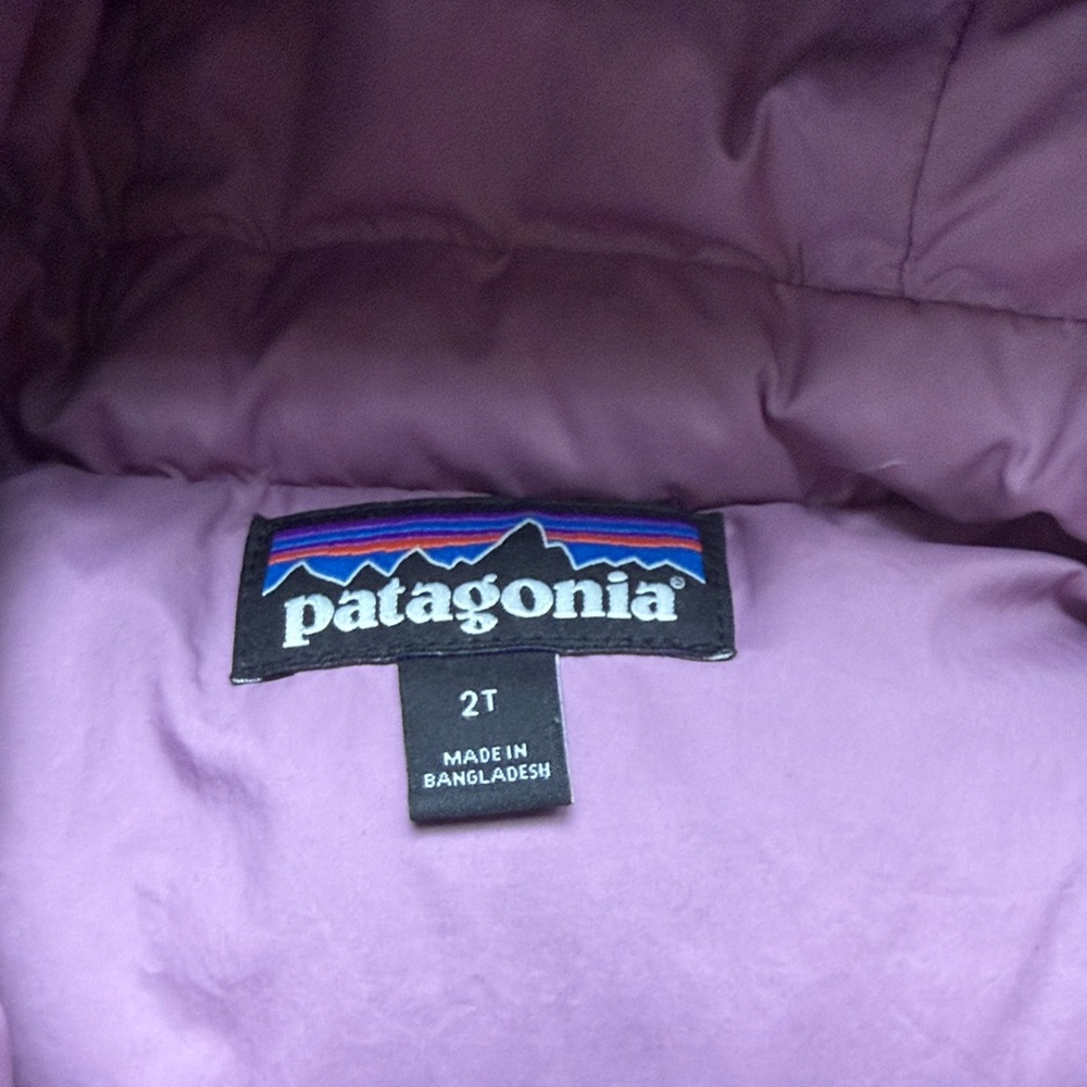 2T, Patagonia Kids Hooded Puffer Jacket, Purple - Picture 2 of 2